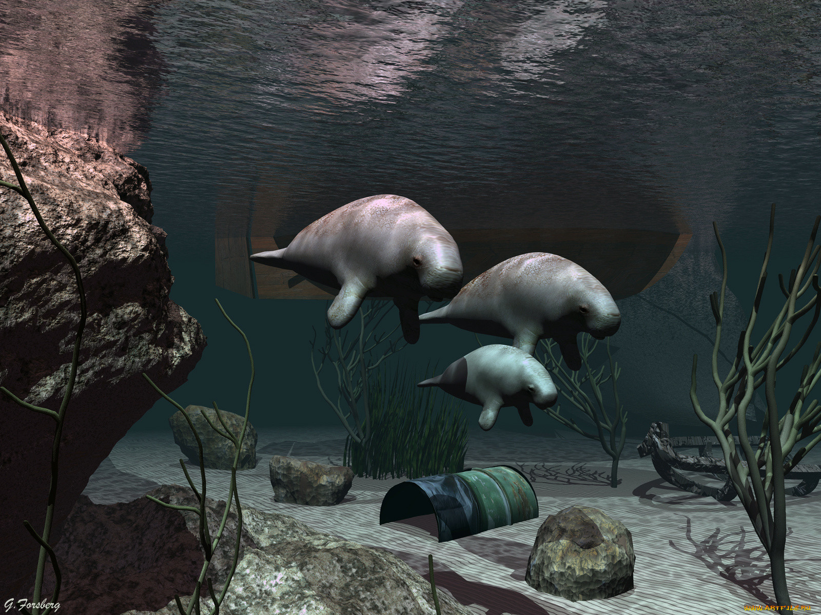 3, , animals, , , , 